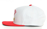 Dlsf Snapback Hatwhite/Red