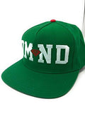 Snapback Hat Green/Red