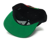 Script Snapback Hat Green/Red
