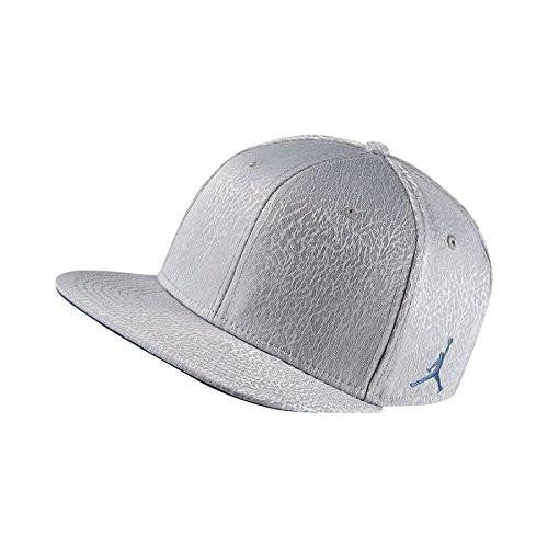 Jordan 3 Retro Snapback Hat Cement Grey/True Blue 802029010