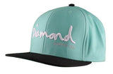 Logo Snapback Hat