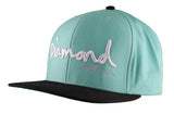 Logo Snapback Hat