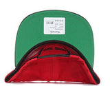 Neon Snapback Hatred/Black