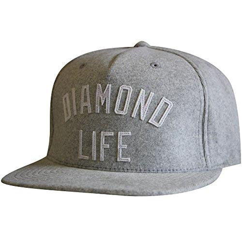 Arch Snapback Grey